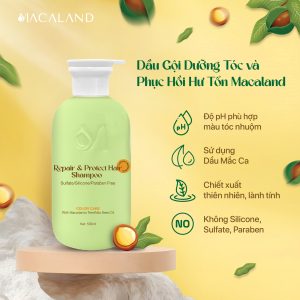 Alternative view of Dầu gội Dưỡng Tóc Mắc Ca MACALAND 500ml dưỡng tóc chắc khỏe, phục hồi hư tổn