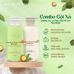 Alternative view of Combo Dầu gội cho tóc nhuộm và Dầu xả giữ màu MACALAND 500ml dưỡng tóc mềm mượt chắc khỏe, phục hồi hư tổn