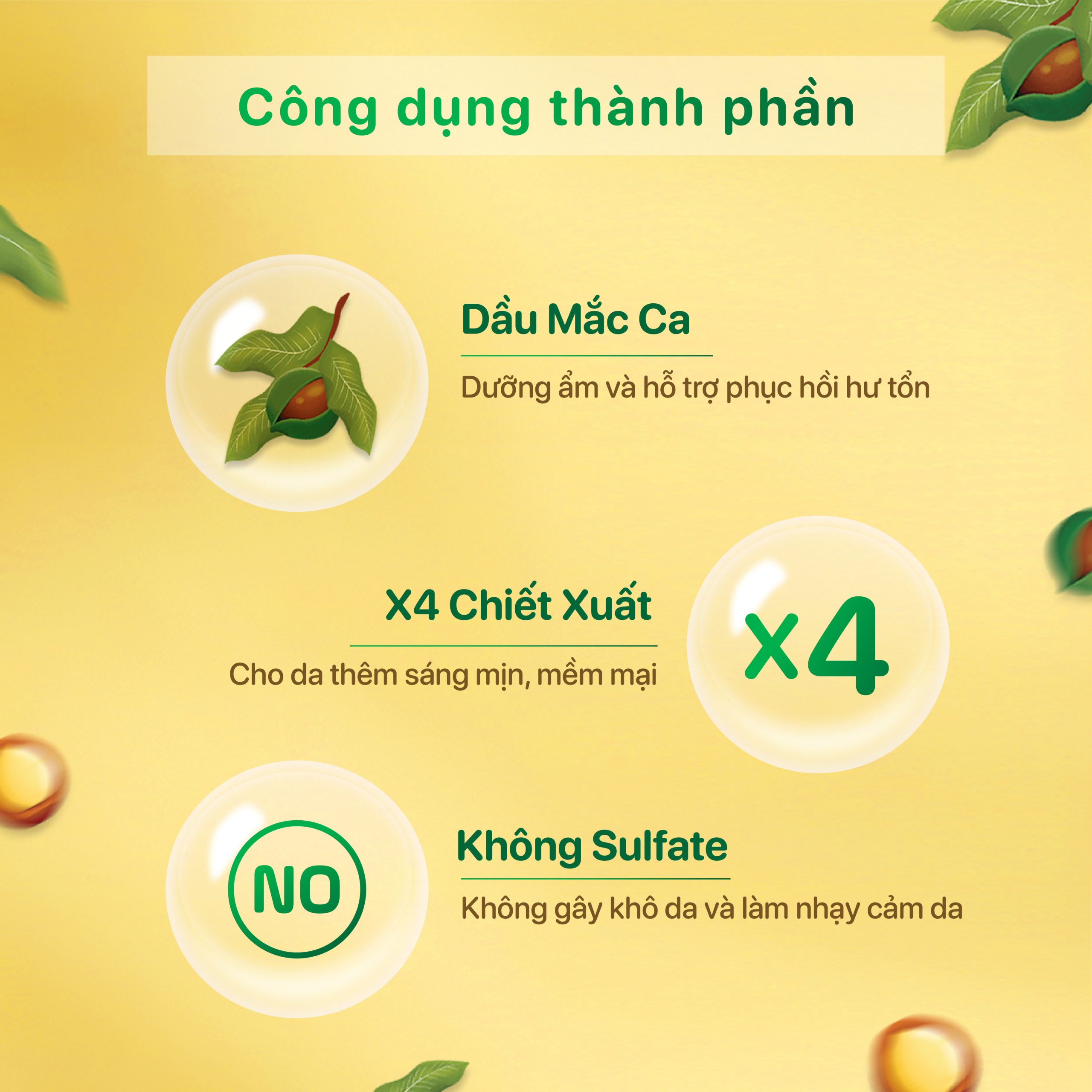 thành-phần-sữa-tắm-dưỡng-ẩm-mắc-ca